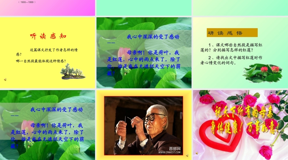 七年级语文上册(荷叶 母亲)优秀实课件 人教新课标版 课件