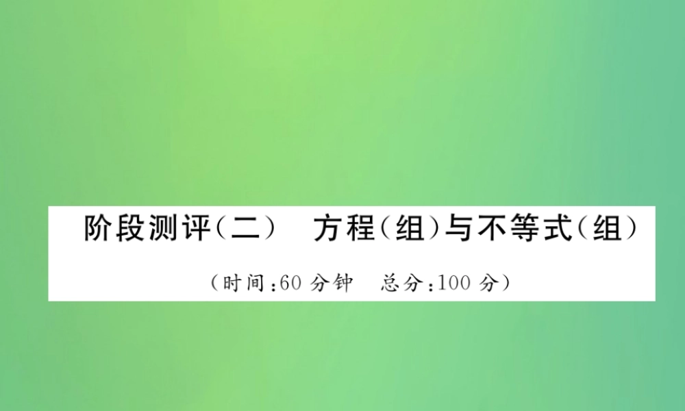 中考数学复习 第2章 方程(组)与不等式(组)阶段测评(二)方程(组)与不等式(组)(精练)课件