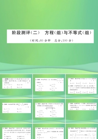 中考数学复习 第2章 方程(组)与不等式(组)阶段测评(二)方程(组)与不等式(组)(精练)课件