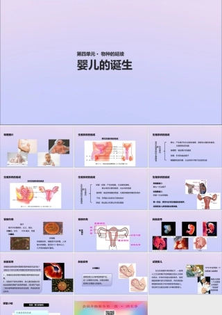 八年级生物上册 第四单元 物种的延续 第三章 人类的生殖和发育 第一节 婴儿的诞生课件(新版)济南版 课件
