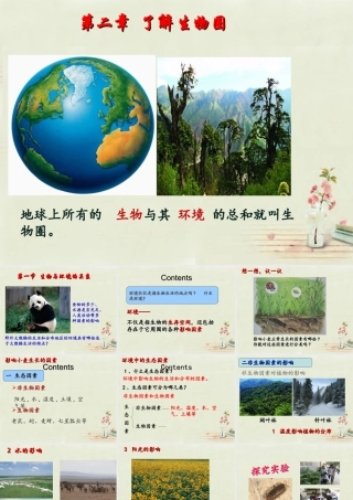 中学七年级生物上册 1.2.1 生物与环境的关系课件(2)(新版)新人教版 课件