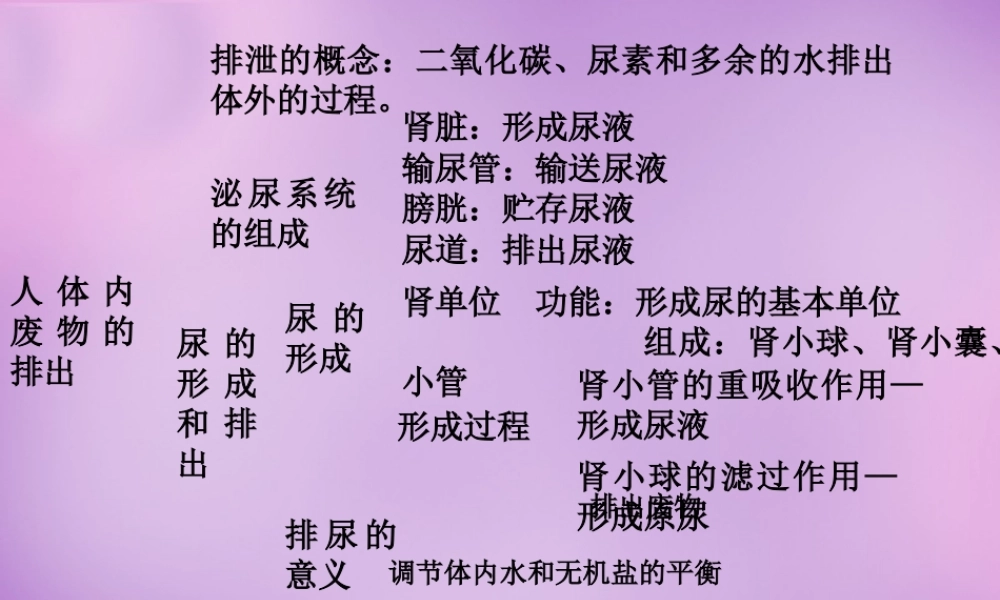 中学七年级生物下册 第四单元(5 人体内废物的排出)课件 新人教版 课件
