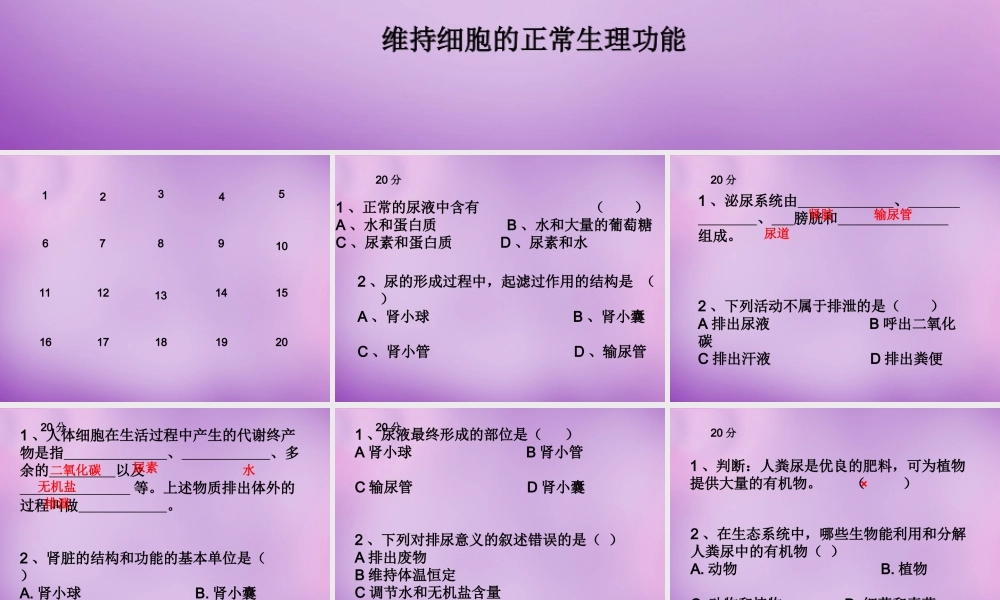 中学七年级生物下册 第四单元(5 人体内废物的排出)课件 新人教版 课件