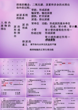 中学七年级生物下册 第四单元(5 人体内废物的排出)课件 新人教版 课件
