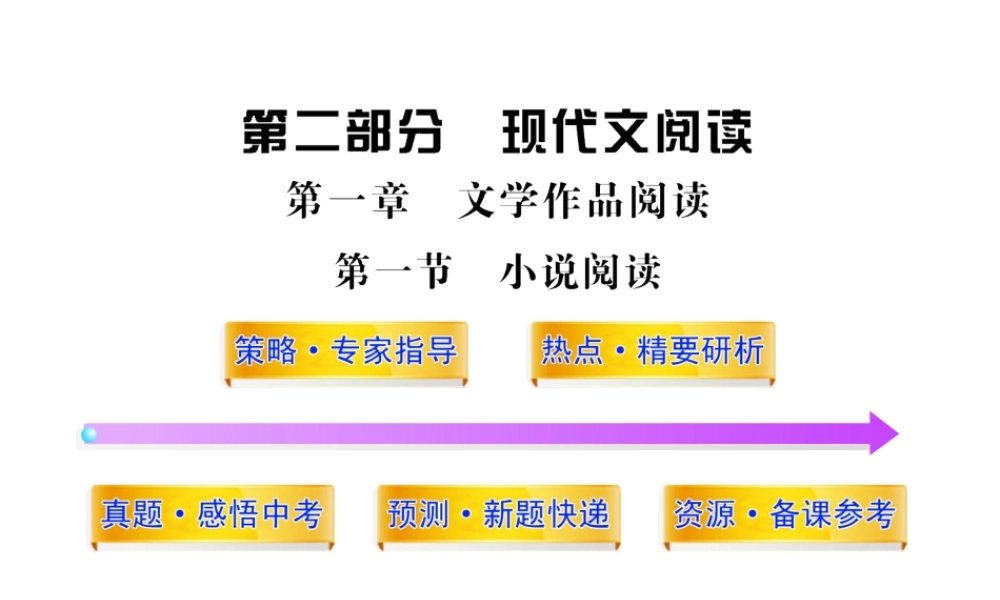 苏教版中考语文总复习课件：小说阅读（166页）