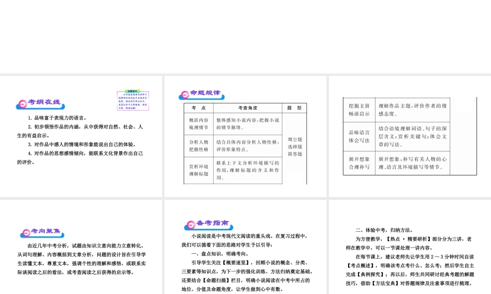 苏教版中考语文总复习课件：小说阅读（166页）