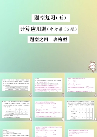 中考化学复习 题型复习(五)计算应用题 题型之四 表格型课件