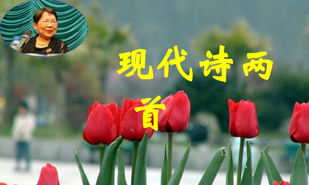 八年级语文下册(现代诗两首·长城谣·一片槐树叶)课件 语文版 课件