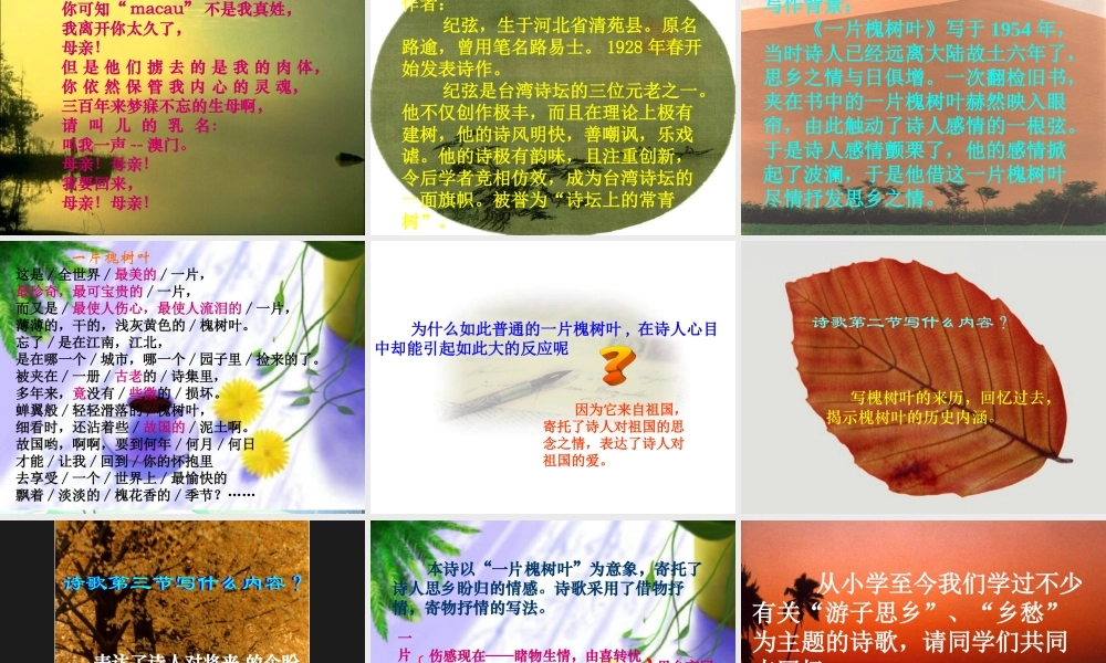 八年级语文下册(现代诗两首·长城谣·一片槐树叶)课件 语文版 课件