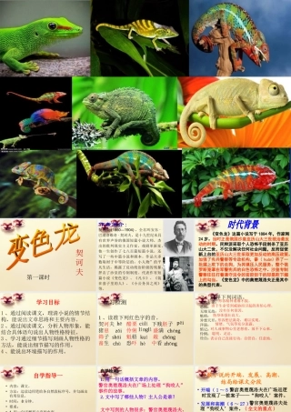 九年级语文下册 7(变色龙)课件(第1课时)课件 (新版)新人教版 课件