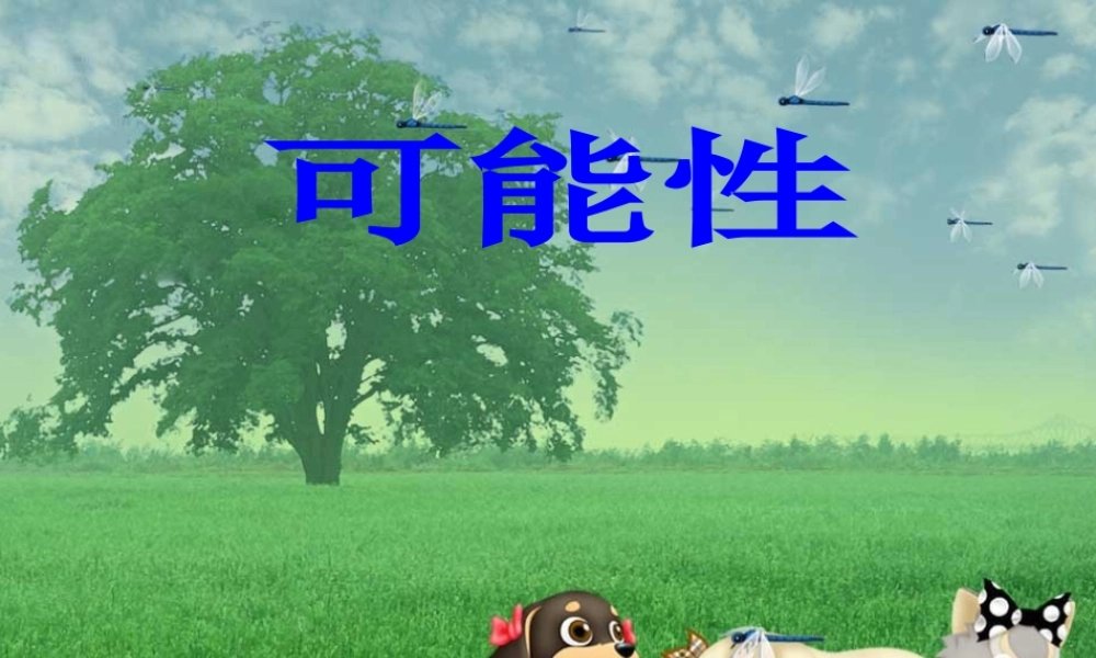 《可能性》课件