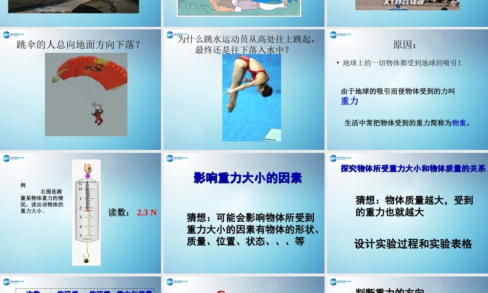 八年级物理下册 8.2 重力课件 苏科版 课件