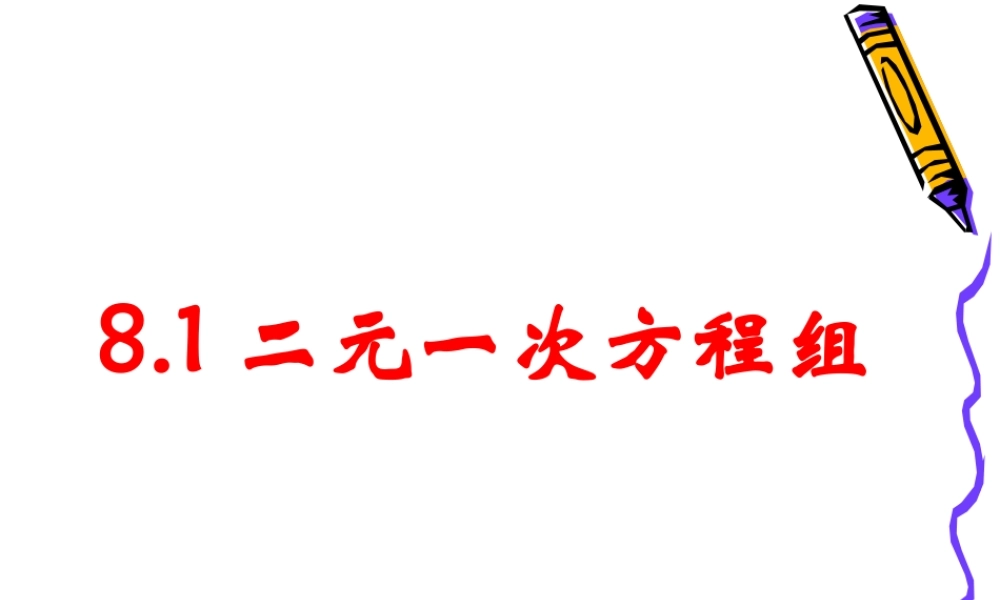8.1二元一次方程(组)