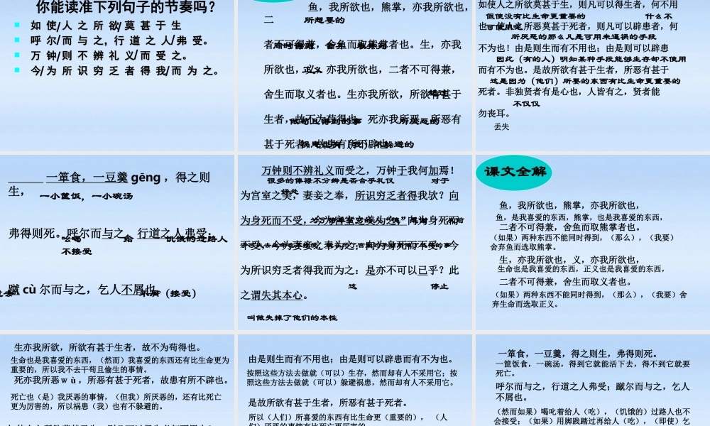 九年级语文下册 第十九课 鱼我所欲也 (孟子)课件 人教新课标版 课件