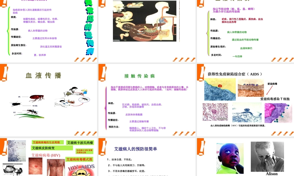 八年级生物上册 传染病及其预防3课件 人教新课标版 课件