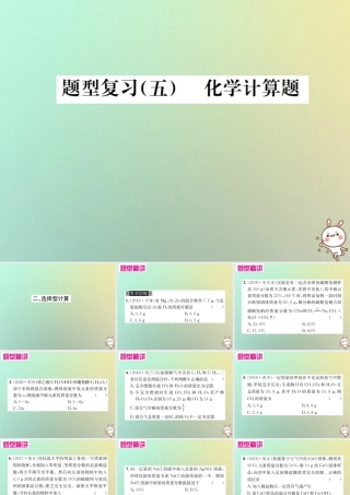 中考化学复习 题型复习(五)2 选择型计算课件