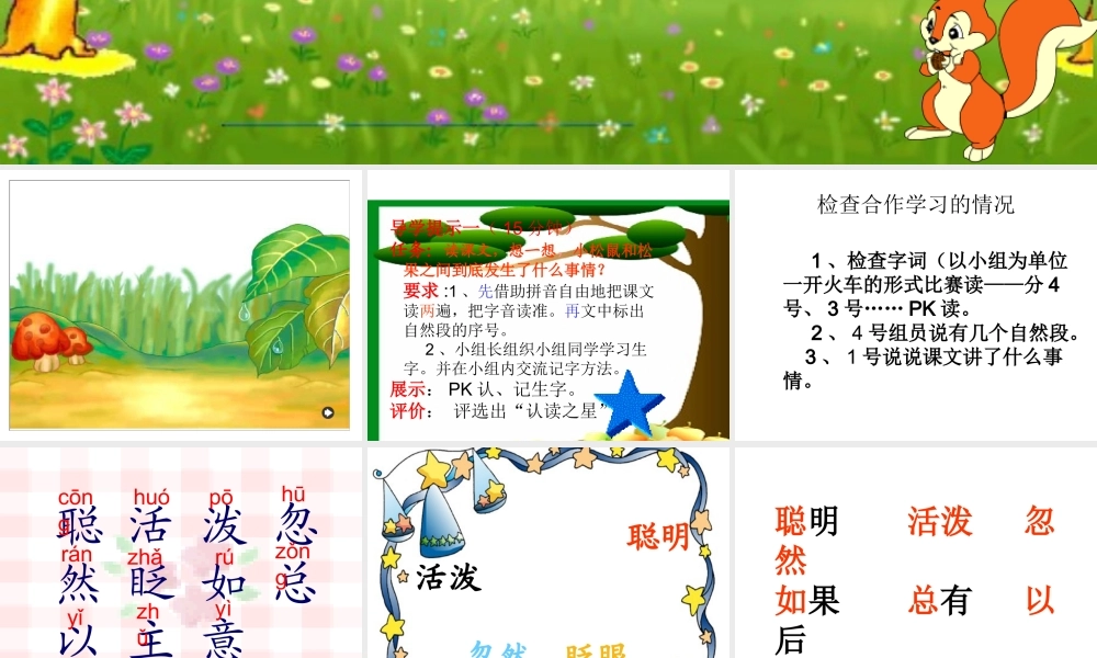 、松鼠和松果