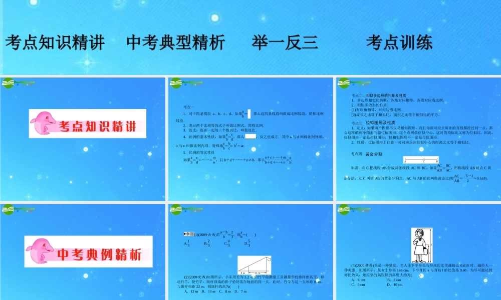 中考数学复习 第32讲 图形的相似与位似课件