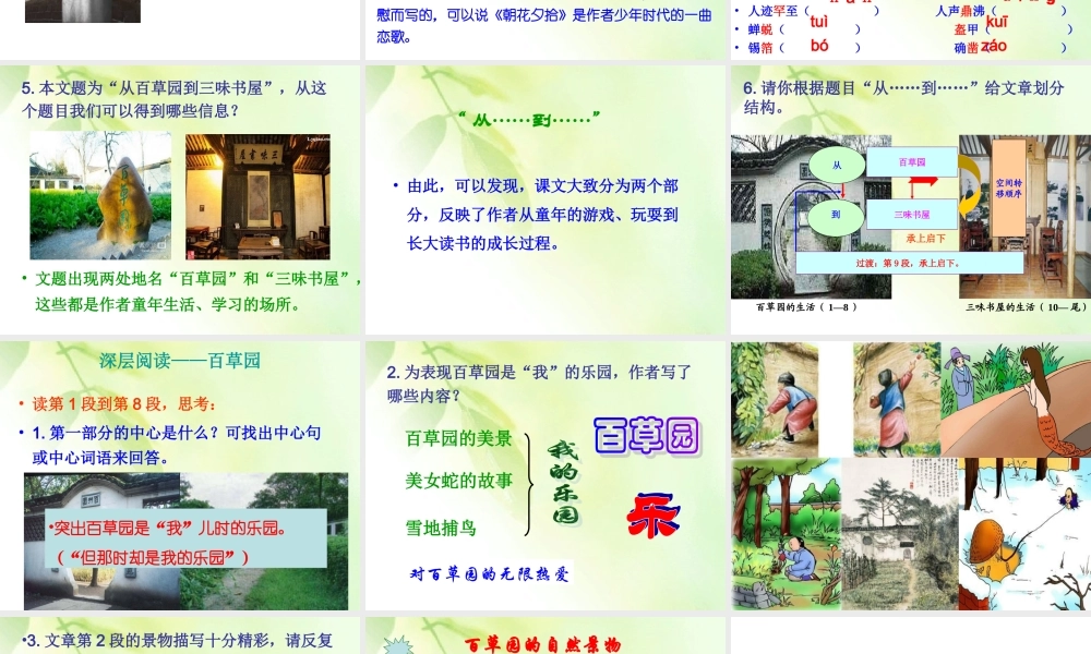 讲课用稿2014年七下课件：从百草园到三味书屋（浅层阅读+深层阅读+语文积累，41页）