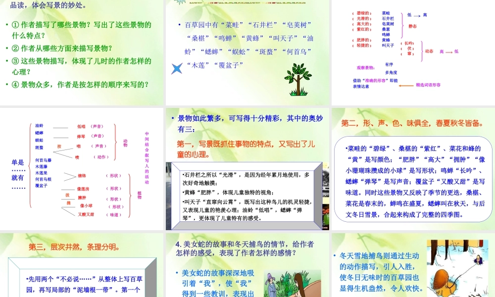 讲课用稿2014年七下课件：从百草园到三味书屋（浅层阅读+深层阅读+语文积累，41页）