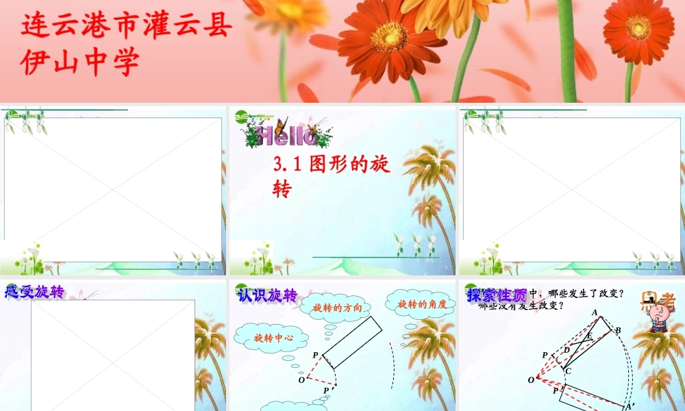 图形的旋转(一) 苏科版 课件