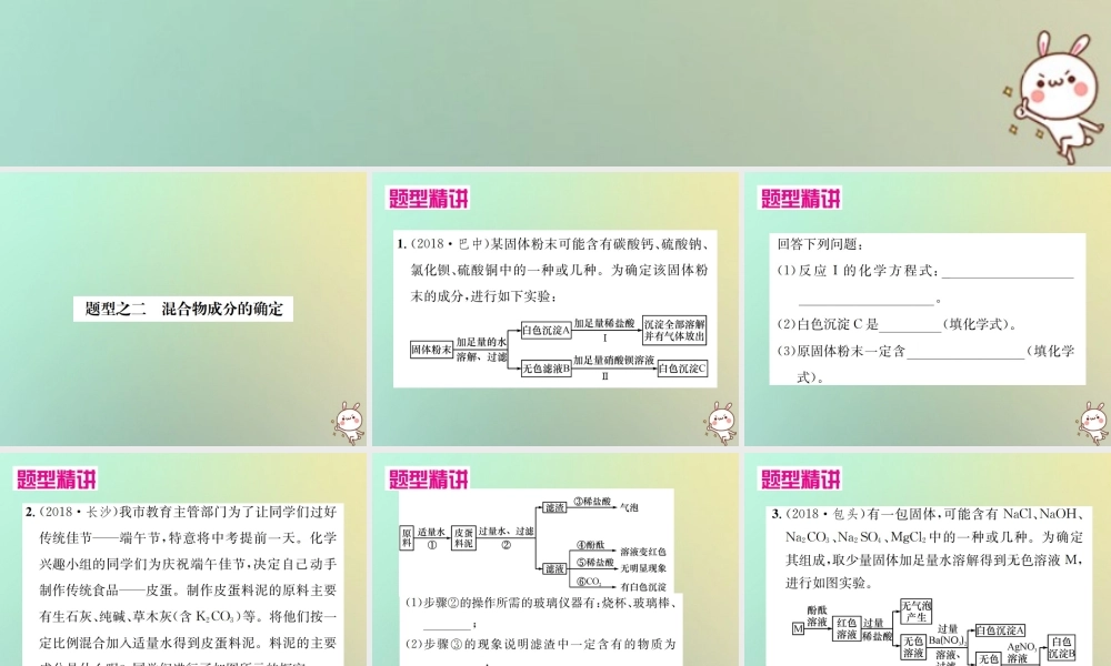中考化学复习 题型复习(三)流程图 题型之二 混合物成分的确定课件