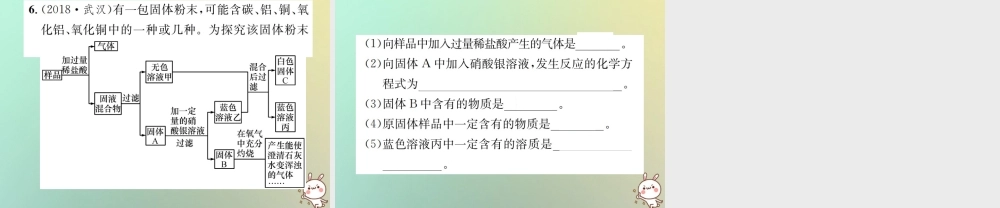 中考化学复习 题型复习(三)流程图 题型之二 混合物成分的确定课件