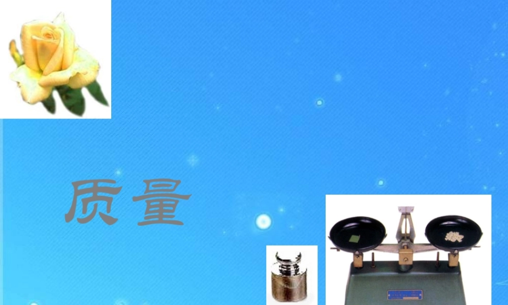 九年级物理下册 11章第二节课件 质量课件 人教新课标版 课件