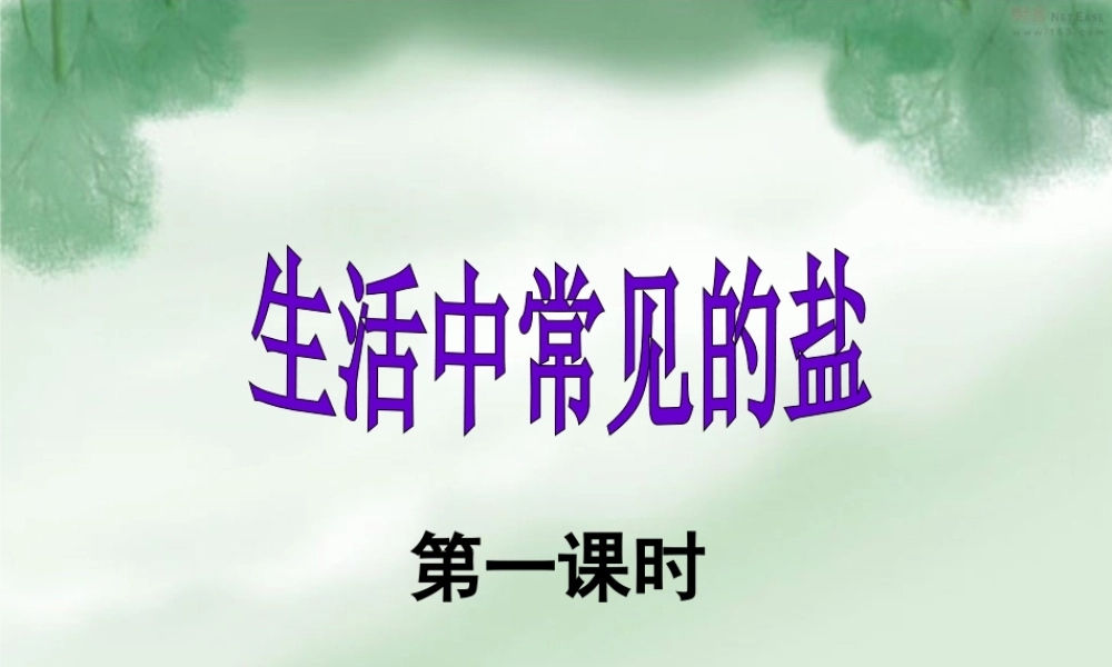 《生活中常见的盐》课件