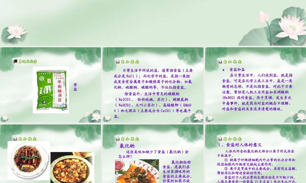 《生活中常见的盐》课件