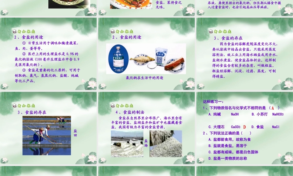 《生活中常见的盐》课件