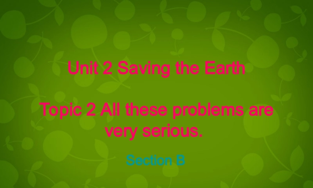九年级英语上册 Unit 2 Topic 2 All these problems are very serious Section B课件 (新版)仁爱版 课件