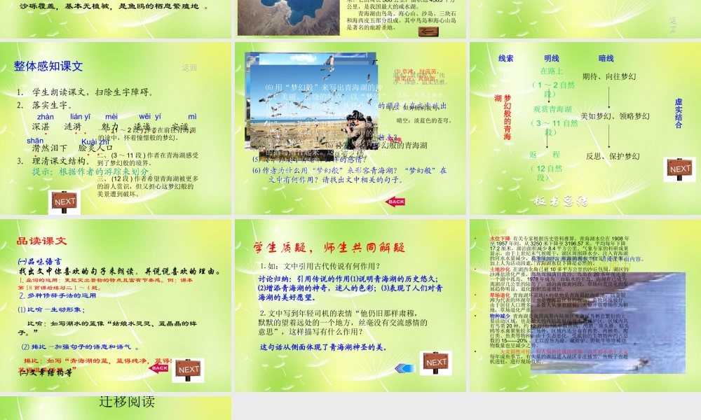 八年级语文上册(第3课 青海湖，梦幻般的湖)课件 语文版 课件