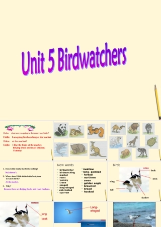 八年级英语上册(Unit5 Birdwatchers )课件 牛津版 课件