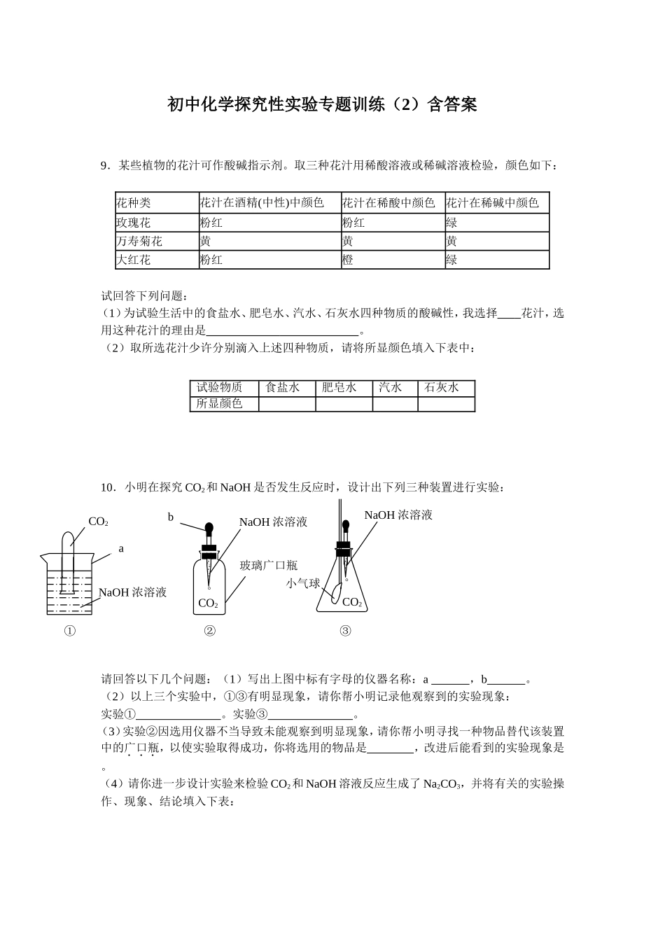 初中化学探究性实验专题训练(2)含答案_第1页