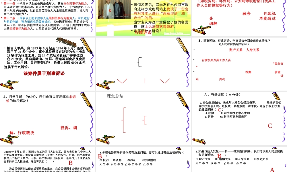 依法解决纠纷 (2)