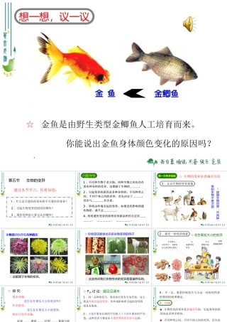 生物的变异 (2)