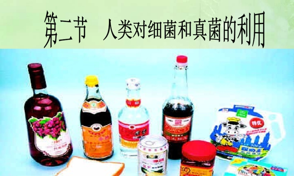 人类对细菌和真菌的利用八年级生物上册第五单元第五章第二节 课件