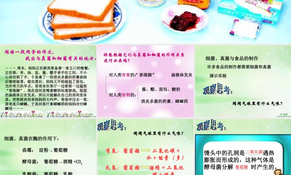 人类对细菌和真菌的利用八年级生物上册第五单元第五章第二节 课件