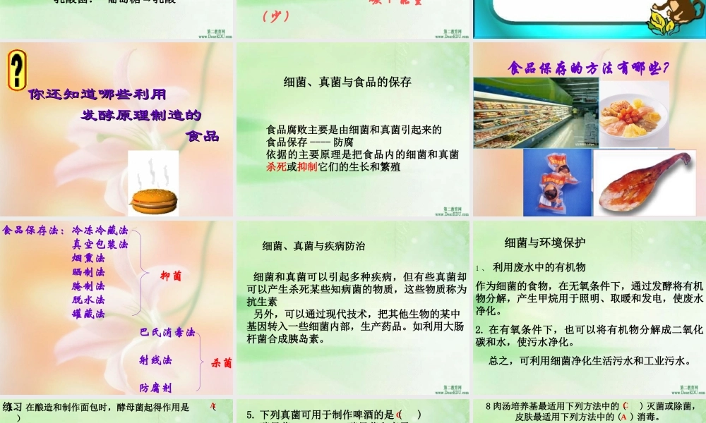 人类对细菌和真菌的利用八年级生物上册第五单元第五章第二节 课件