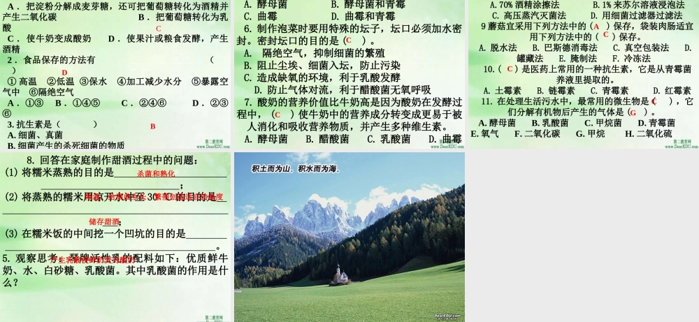人类对细菌和真菌的利用八年级生物上册第五单元第五章第二节 课件