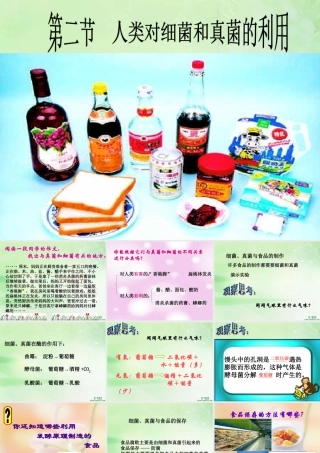 人类对细菌和真菌的利用八年级生物上册第五单元第五章第二节 课件