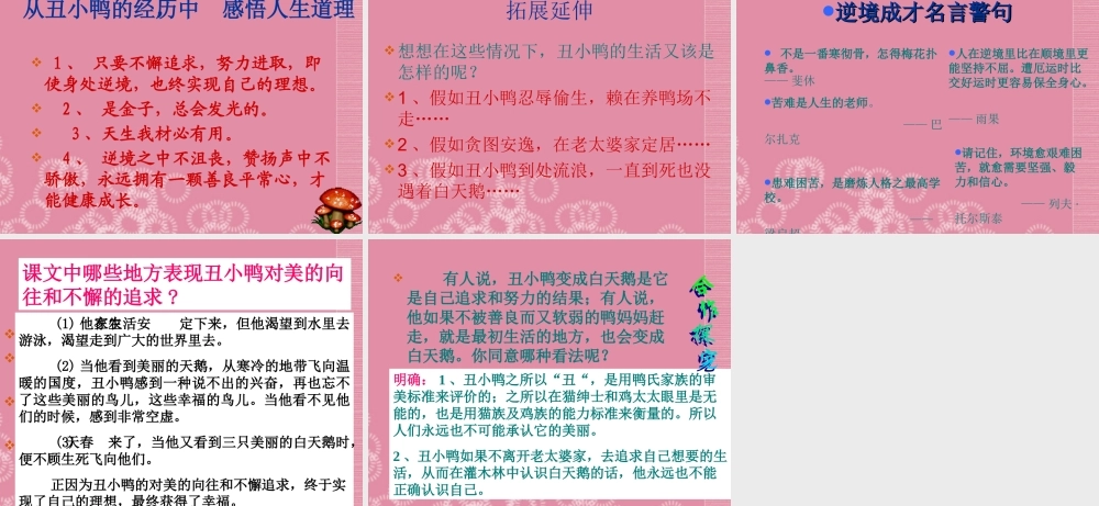 广西壮族自治区贵港市贵城四中七年级语文 丑小鸭课件