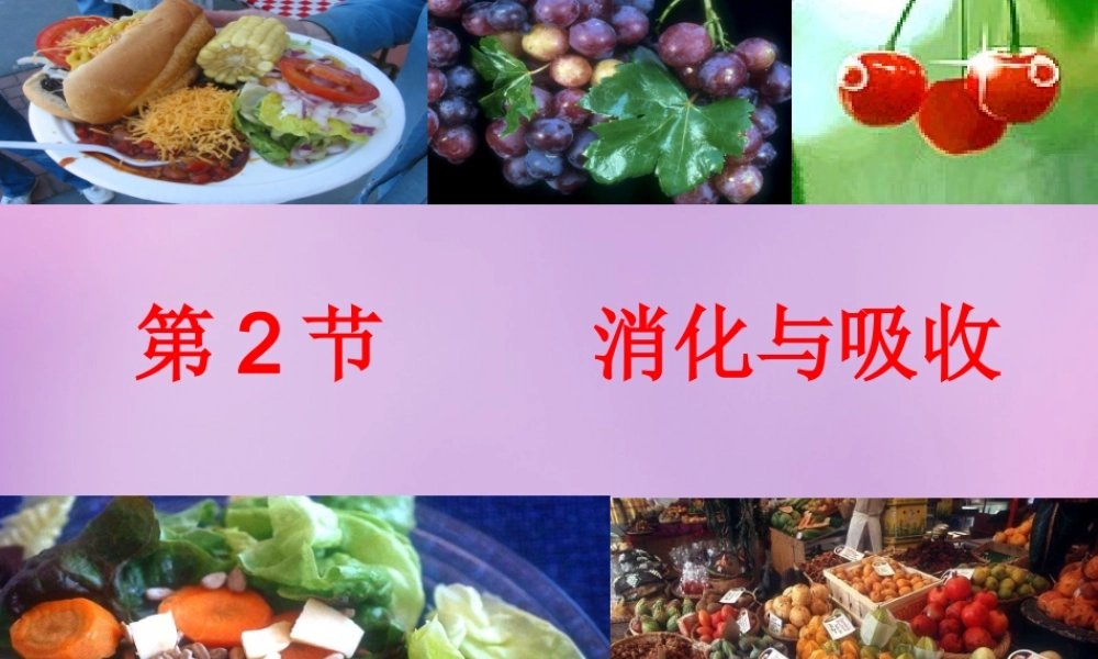 中学七年级生物下册 2.2 消化和吸收课件1 新人教版 课件