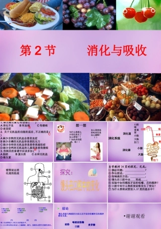 中学七年级生物下册 2.2 消化和吸收课件1 新人教版 课件