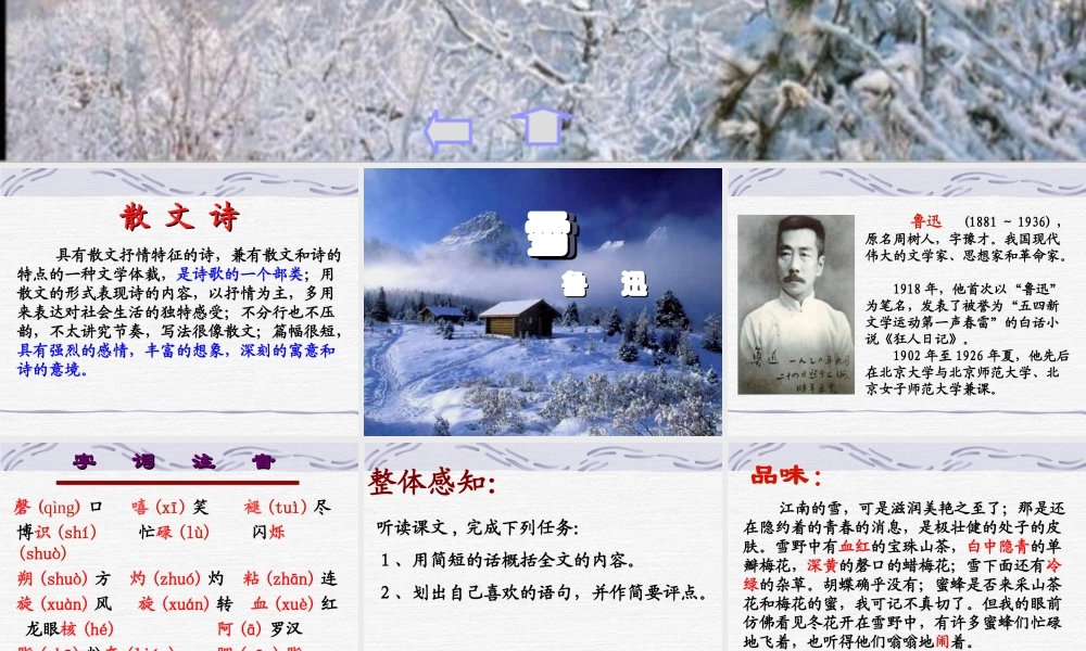《雪》公开课