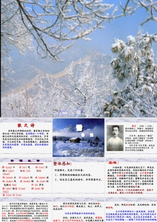《雪》公开课