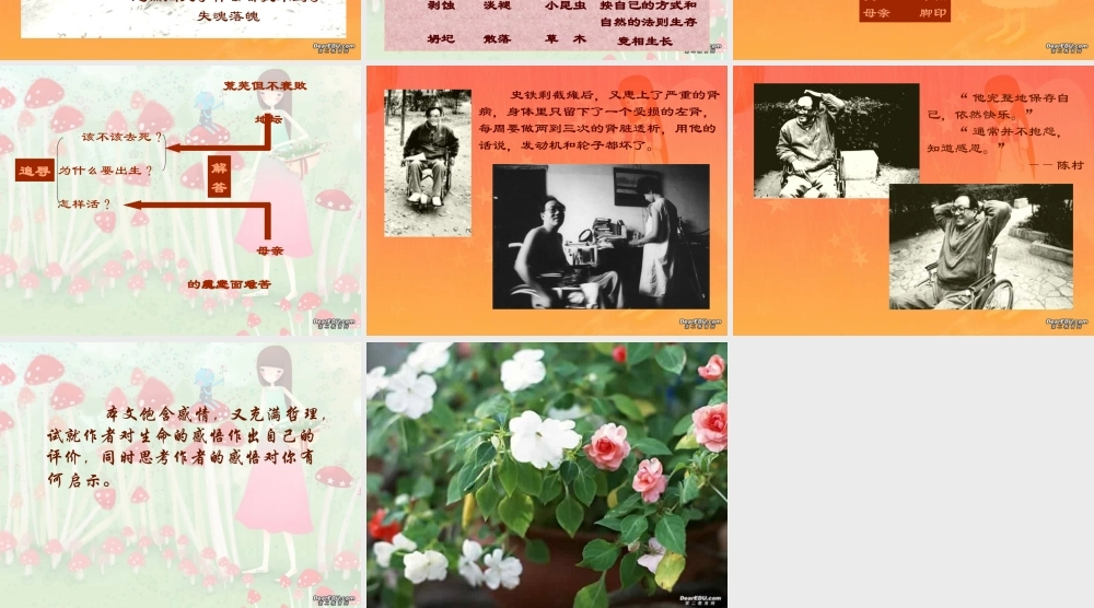 我与地坛1 人教版高一语文我与地坛课件[整理二套]