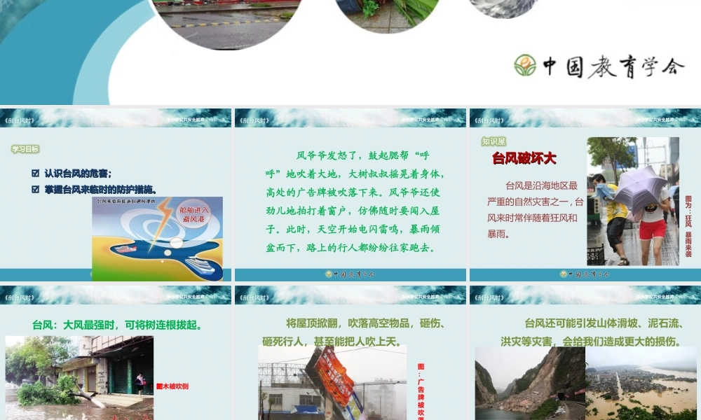安全视频《刮台风时》