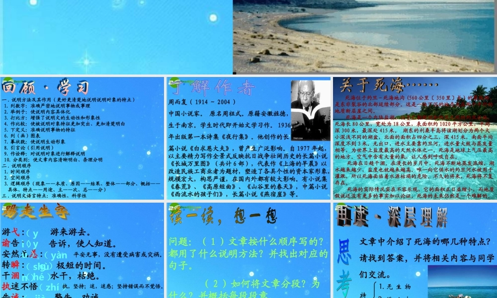 七年级语文上册 (死海不死)课件 鲁教版 课件